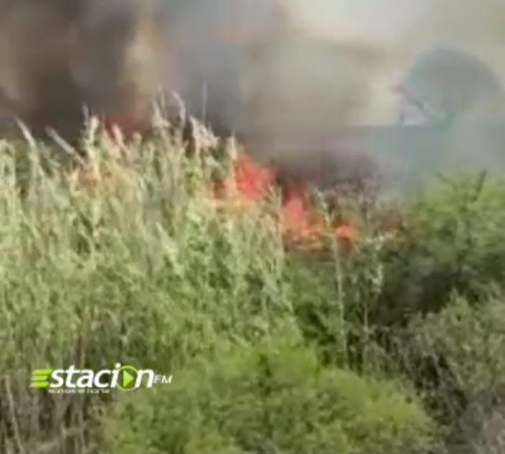 MÁS DE 50 HECTÁREAS DE MONTE SE CONSUMIERON AYER EN UN INCENDIO EN EL RÍO LOS TÁRTAGOS