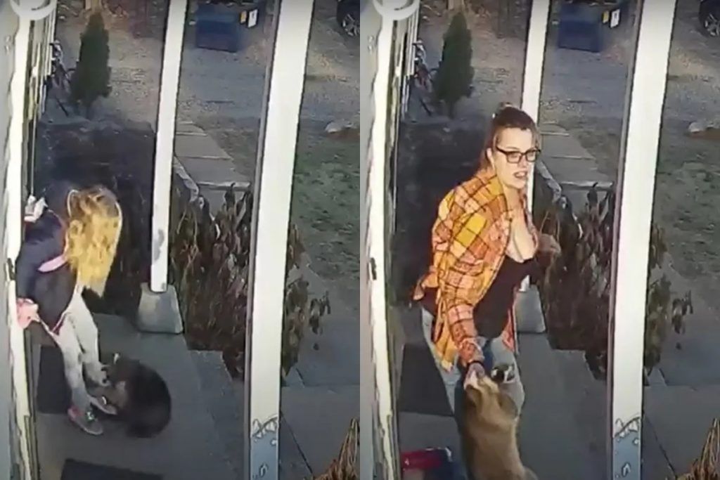 FEROZ ATAQUE DE UN MAPACHE A UNA NIÑA DE 5 AÑOS