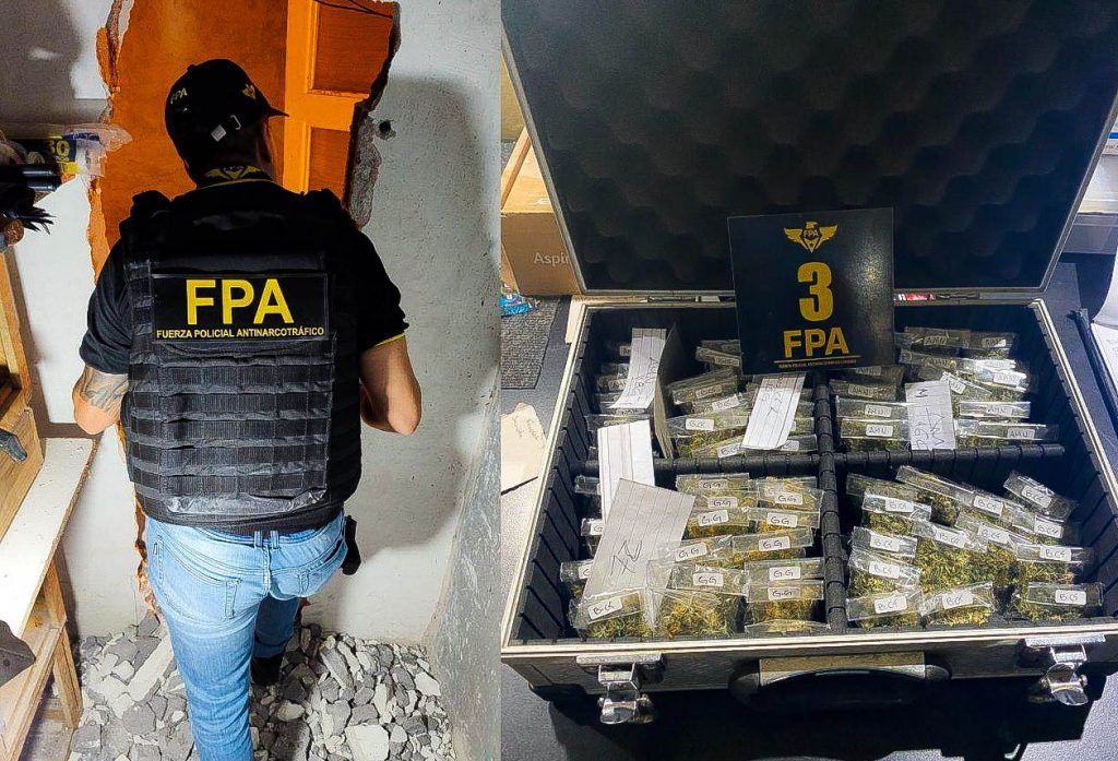 DETRÁS DE UNA HELADERA, HABÍA UNA PUERTA “SECRETA” QUE LLEVABA A UN INVERNADERO DE MARIHUANA: UN DETENIDO