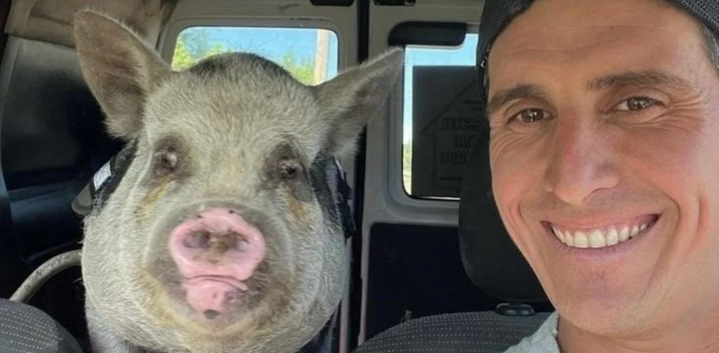 DENUNCIAN QUE ADOPTÓ UN “MINIPIG” PARA MASCOTA PERO SE LO COMIÓ A LA PARRILLA CON AMIGOS