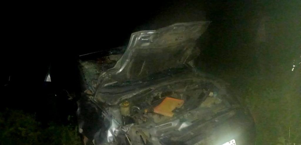 UN AUTOMÓVIL CHOCÓ CON UNA VACA EN RUTA 9