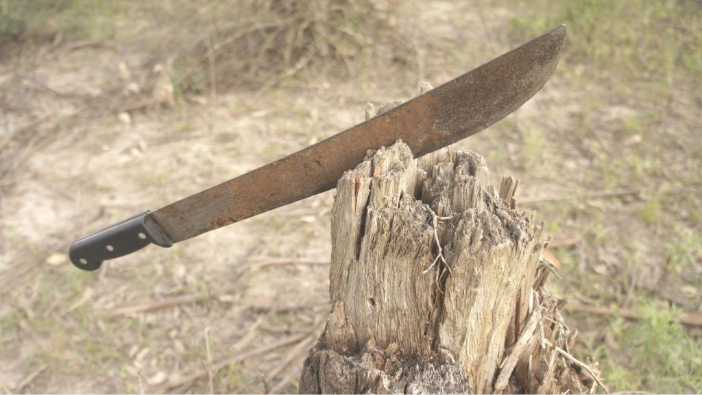 CRUZ DEL EJE: DETIENEN A UN ABUELO QUE AMENAZÓ CON UN MACHETE A SUS NIETAS