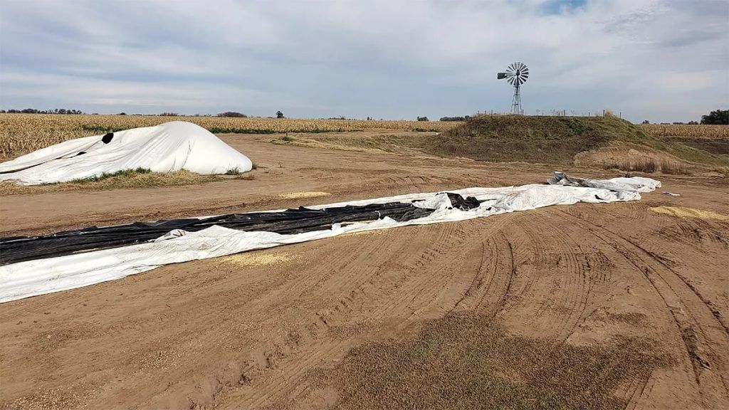 BELL VILLE: DURA CONDENA A INTEGRANTES DE UNA BANDA QUE ROBABA CEREAL EN EL SUR ESTE DE LA PROVINCIA