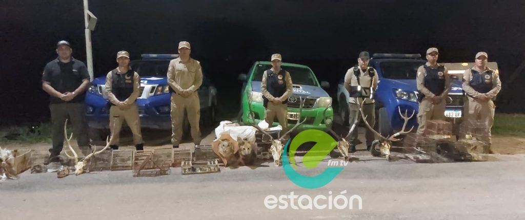 IMPORTANTE PROCEDIMIENTO DE PATRULLA RURAL EN ELCANO
