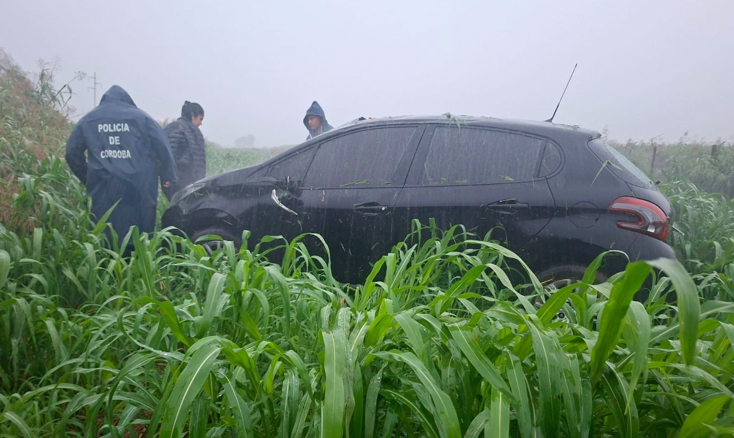 EN PLENA TORMENTA, UN AUTO DESPISTÓ CERCA DE LA DORMIDA