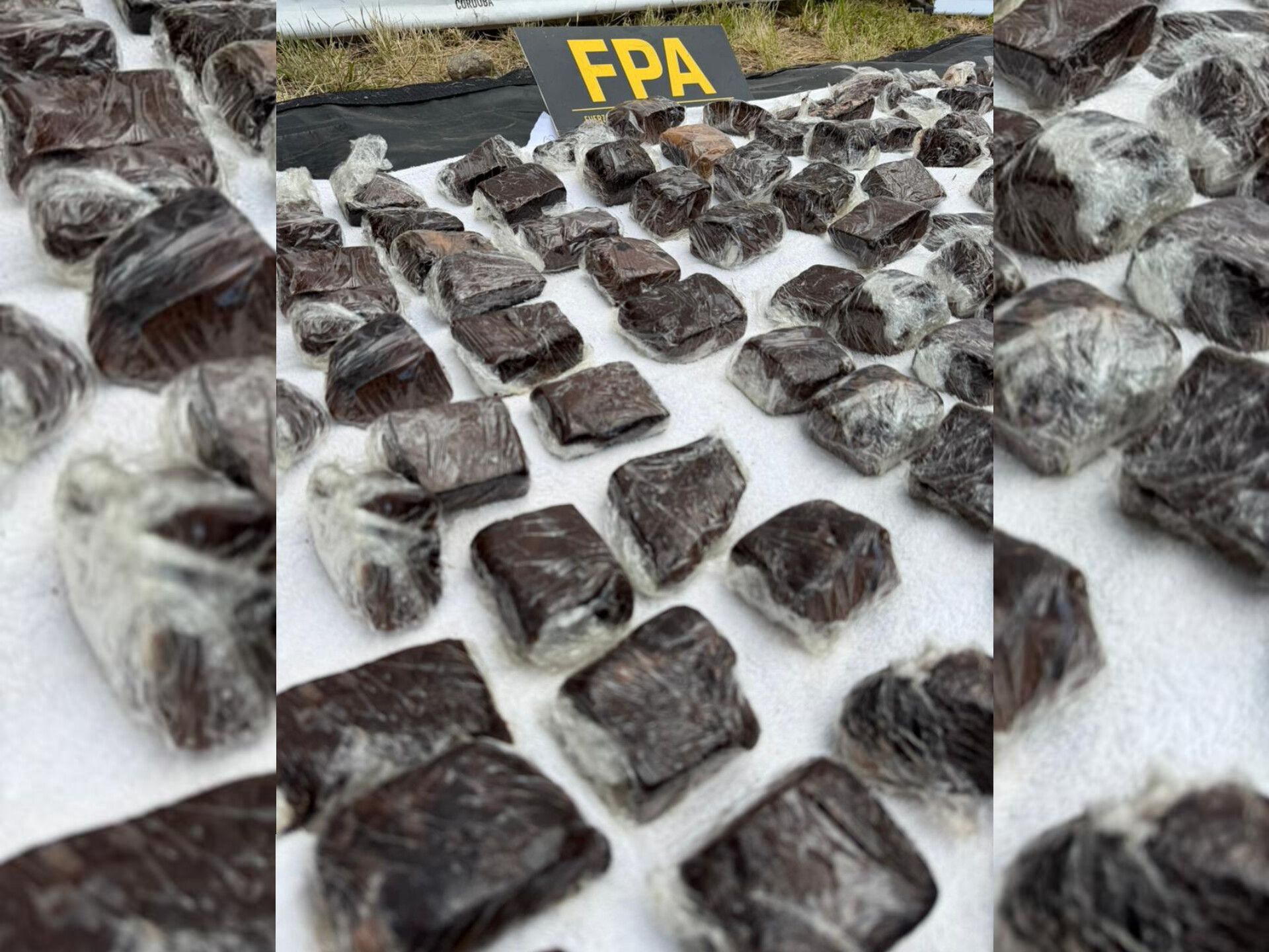 SECUESTRARON BROWNIES DE MARIHUANA DURANTE EL COSQUÍN ROCK