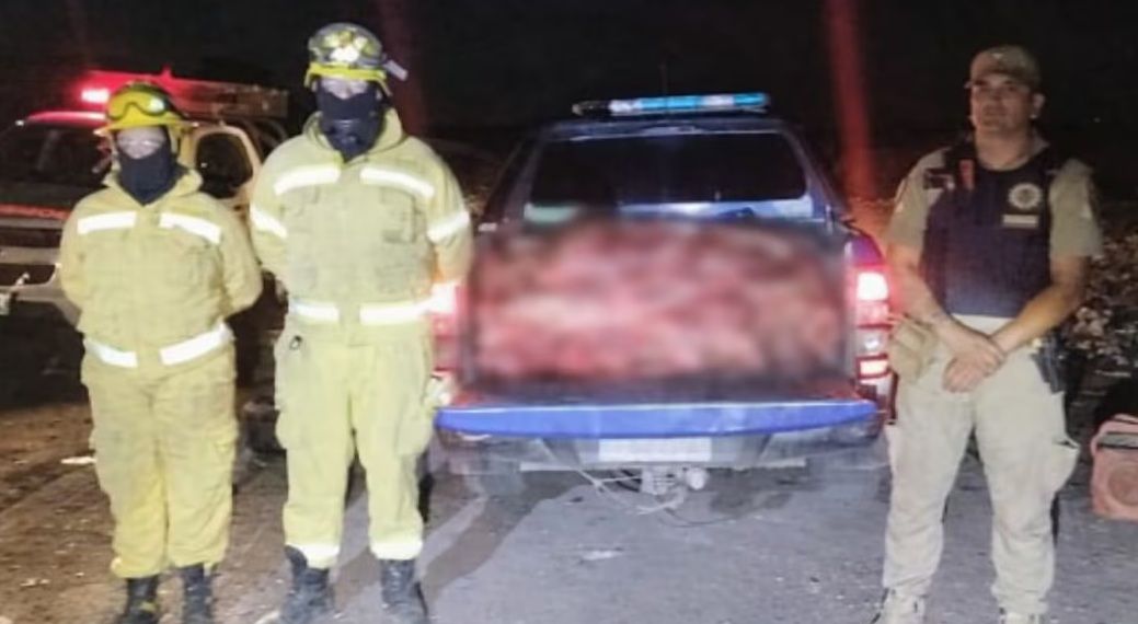 DECOMISAN MEDIA TONELADA DE CARNE CLANDESTINA EN VILLA GUTIÉRREZ: DOS DETENIDOS