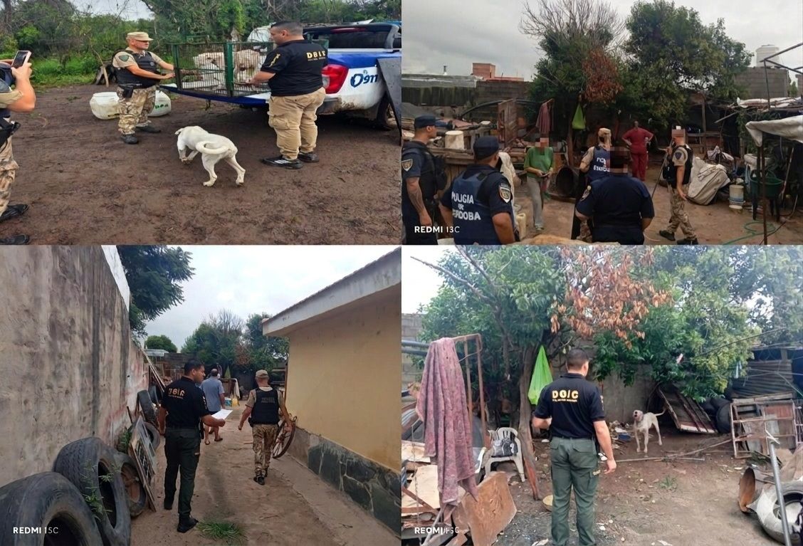 RESCATARON PERROS EN TERRIBLES CONDICIONES EN SINSACATE Y TINOCO