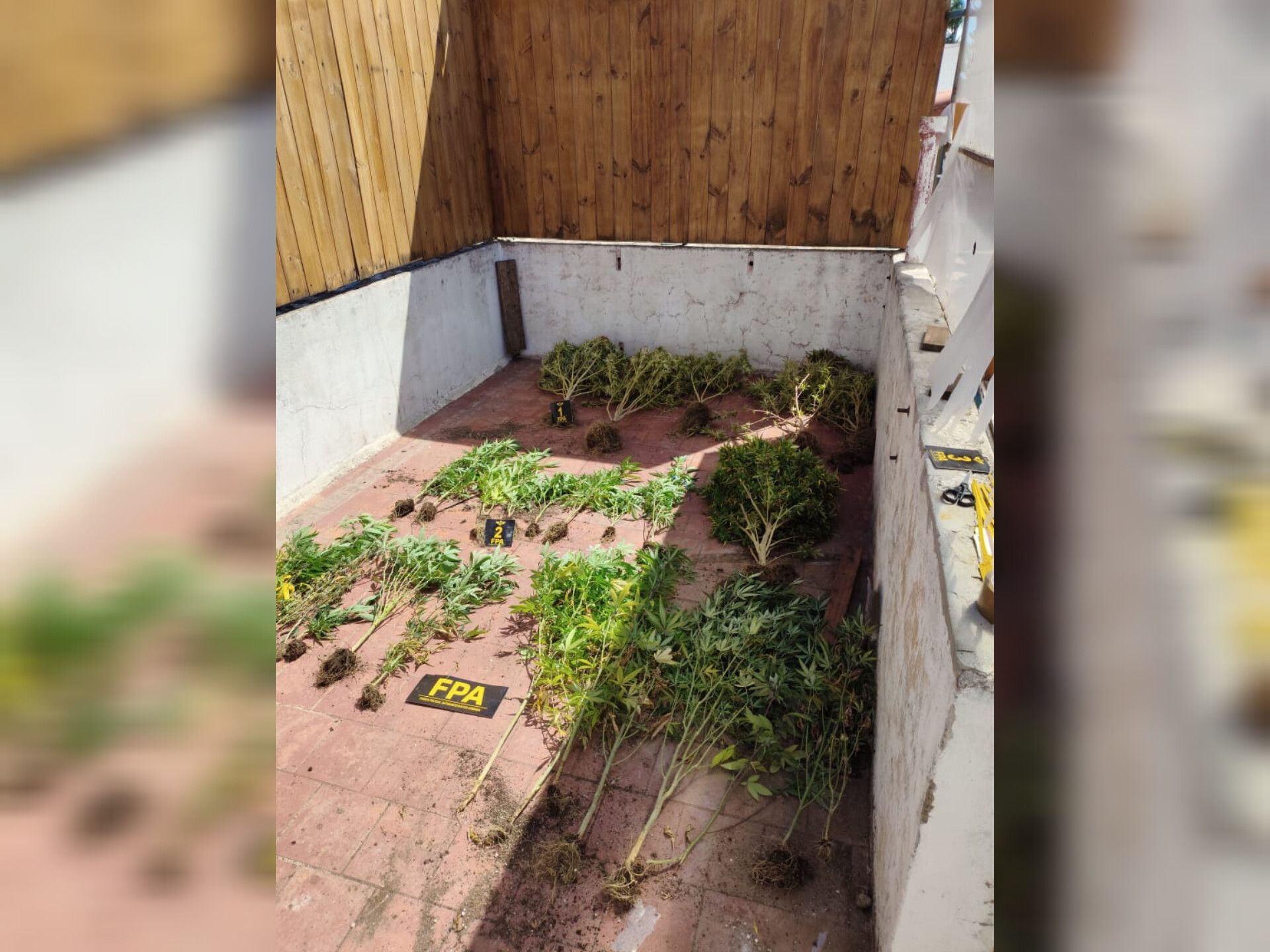 ALLANAMIENTO Y DETENCIÓN EN UN GROW SHOP EN JESÚS MARÍA