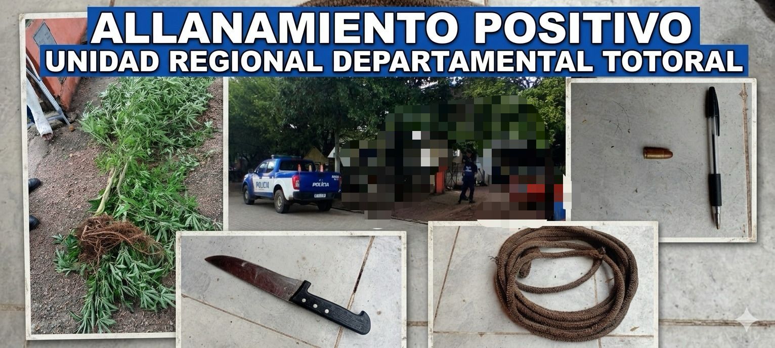 LE ALLANABAN LA CASA POR UN ROBO Y LE ENCONTRARON UNA PLANTA DE MARIHUANA DE 2 METROS DE ALTURA