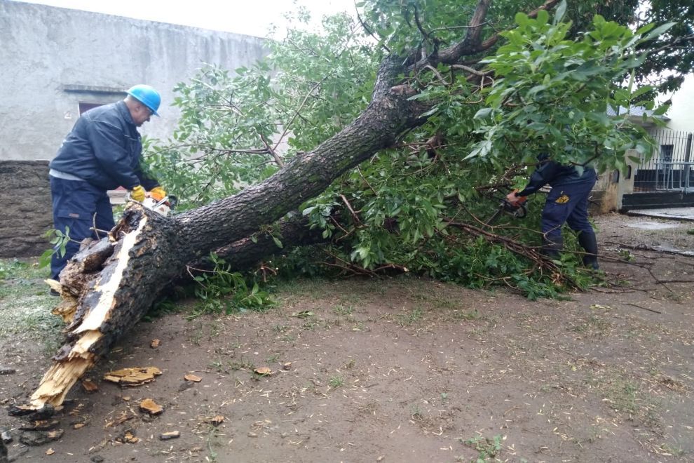LA PROVINCIA ACOMPAÑA A MUNICIPIOS Y COMUNAS AFECTADAS POR EL TEMPORAL EN EL SUR Y SUDESTE CORDOBÉS