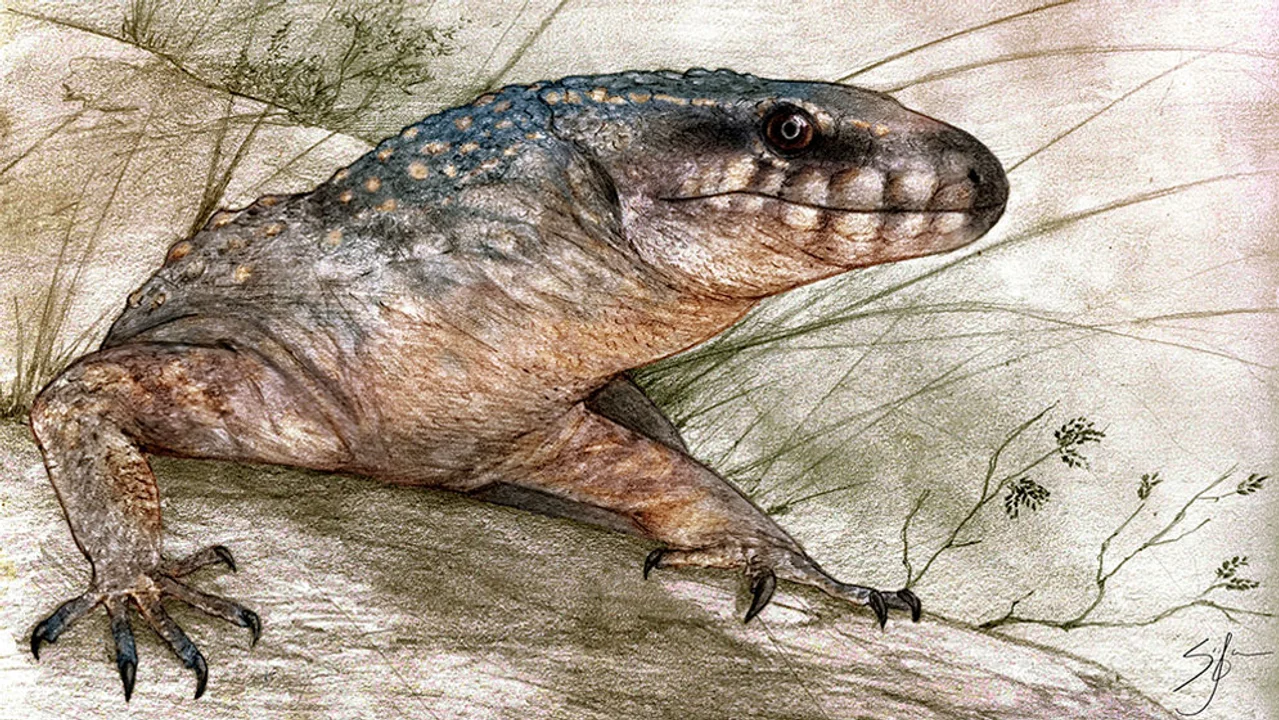 HALLAN EN RÍO NEGRO LOS RESTOS FÓSILES DE UN REPTIL DE 70 MILLONES DE AÑOS