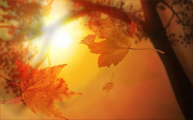 ¿CHAU INVIERNO? CÓRDOBA ESPERA UN MARCADO AUMENTO DE TEMPERATURA Y EL LUNES ROZARÁ LOS 30 GRADOS