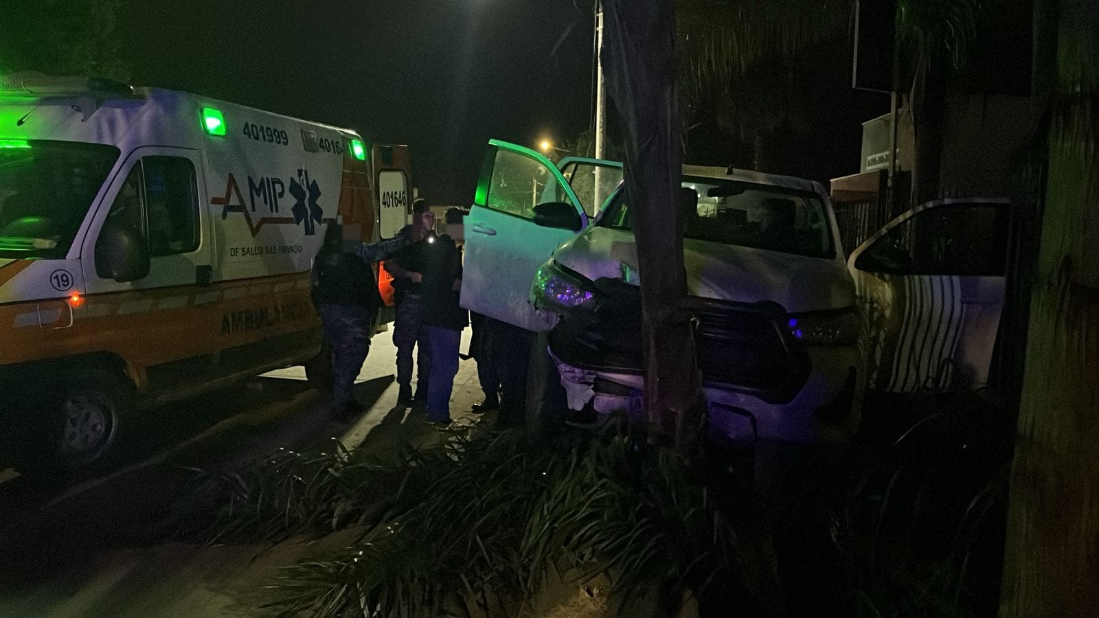 TRES HERIDOS TRAS UN CHOQUE CONTRA PALMERAS EN COLONIA CAROYA Y ALCOHOLEMIA POSITIVA PARA EL CONDUCTOR