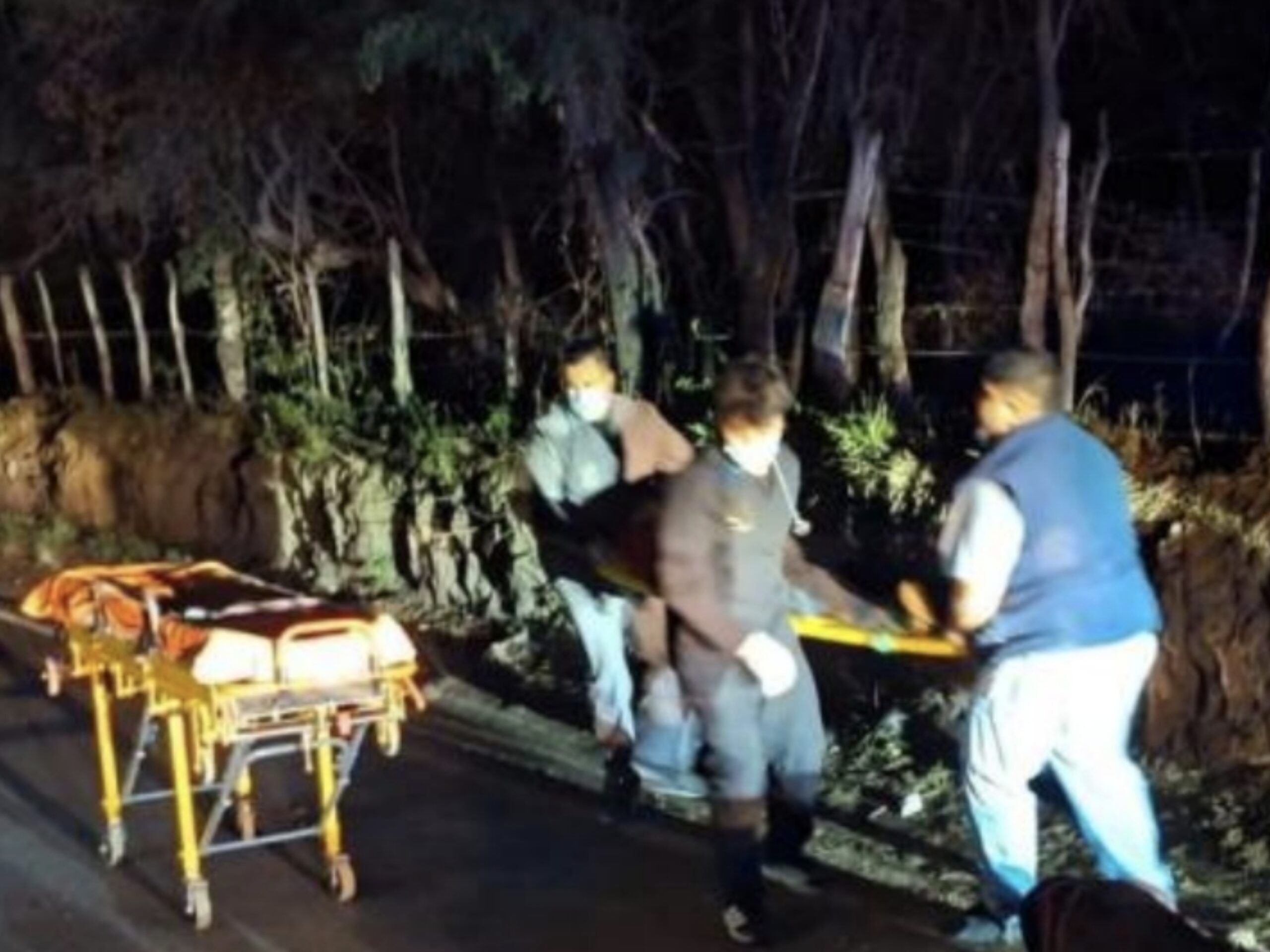 UNA CAMIONETA EMBISTIÓ A DOS CABALLOS EN BAÑADO DE SOTO Y UN MENOR Y UN ADULTO RESULTARON HERIDOS