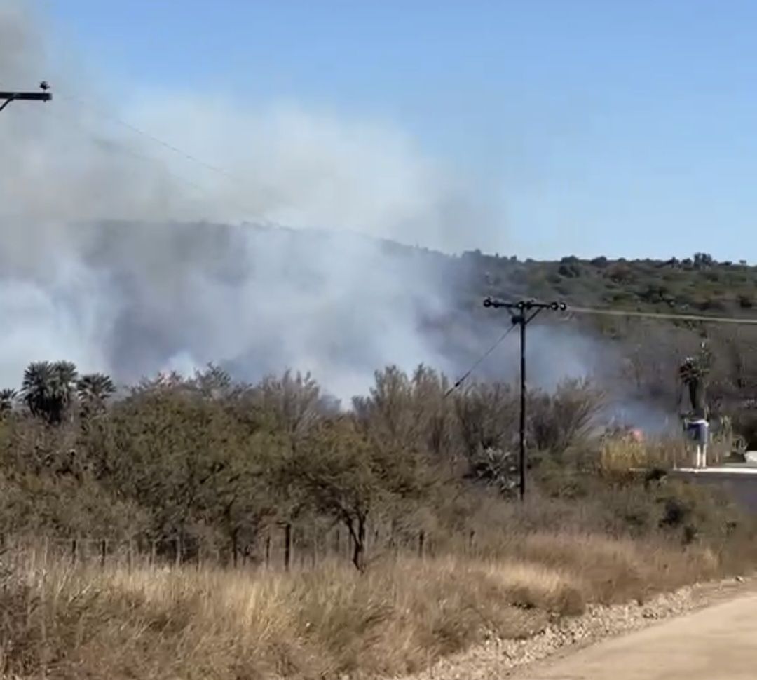 UNA MUJER DETENIDA COMO PRESUNTA RESPONSABLE DE UN INCENDIO FORESTAL EN EL DEPARTAMENTO MINAS