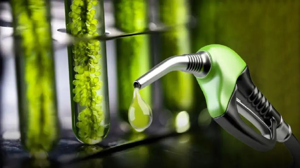 CÓRDOBA TENDRÁ LA PRIMERA PLANTA DE PRODUCCIÓN DE BIOCOMBUSTIBLES DE SEGUNDA GENERACIÓN