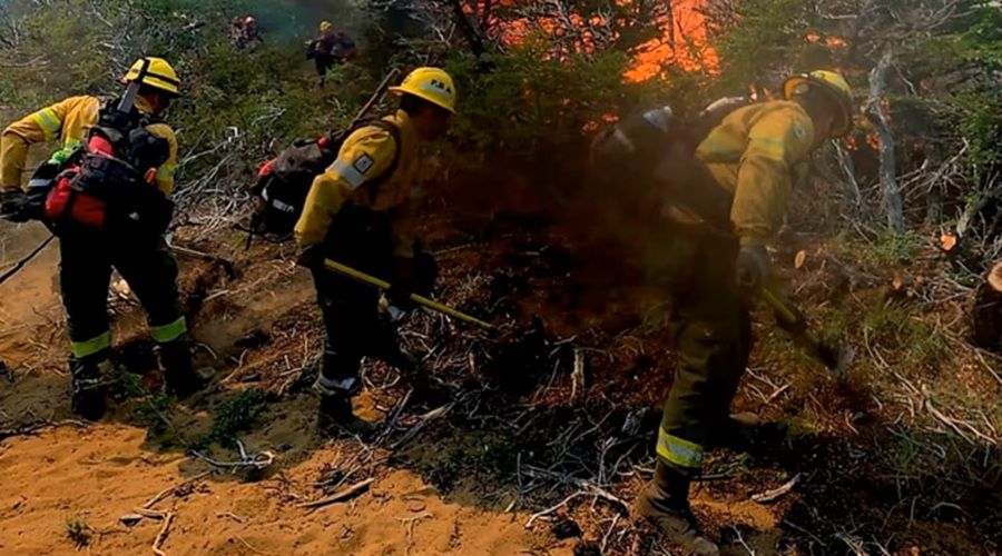 SALTA: INCENDIO FORESTAL EN CAFAYATE YA CONSUMIÓ CERCA DE 200 HECTÁREAS