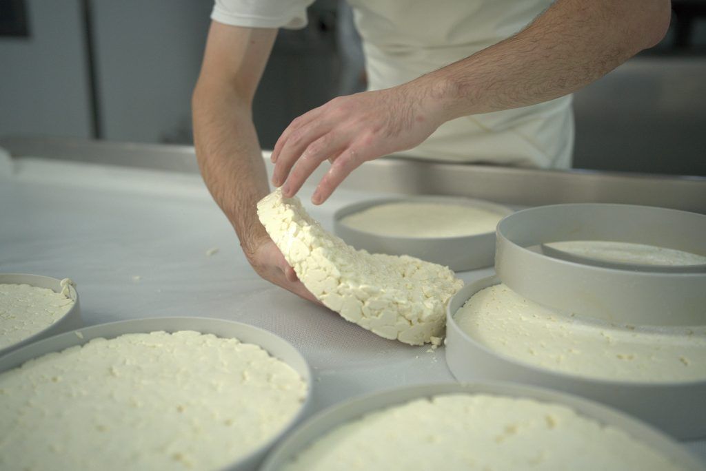 CÓRDOBA APUESTA A LA CONSOLIDACIÓN DE CAMINOS DEL QUESO COMO PRODUCTO TURÍSTICO PROVINCIAL