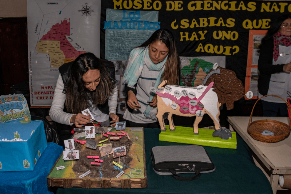 FERIA DE CIENCIAS 2026: 695 PROYECTOS PARTICIPARON DE LA INSTANCIA REGIONAL EN TODA LA PROVINCIA