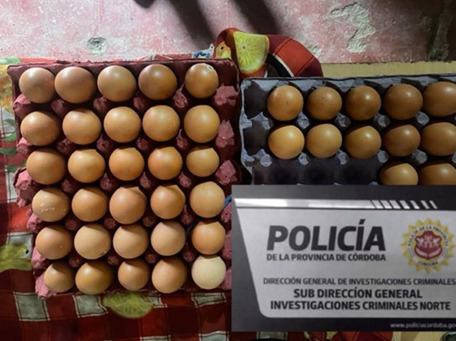 RECUPERAN AVES FAENADAS Y DECENAS DE HUEVOS TRAS UN ALLANAMIENTO EN VILLA DE SOTO
