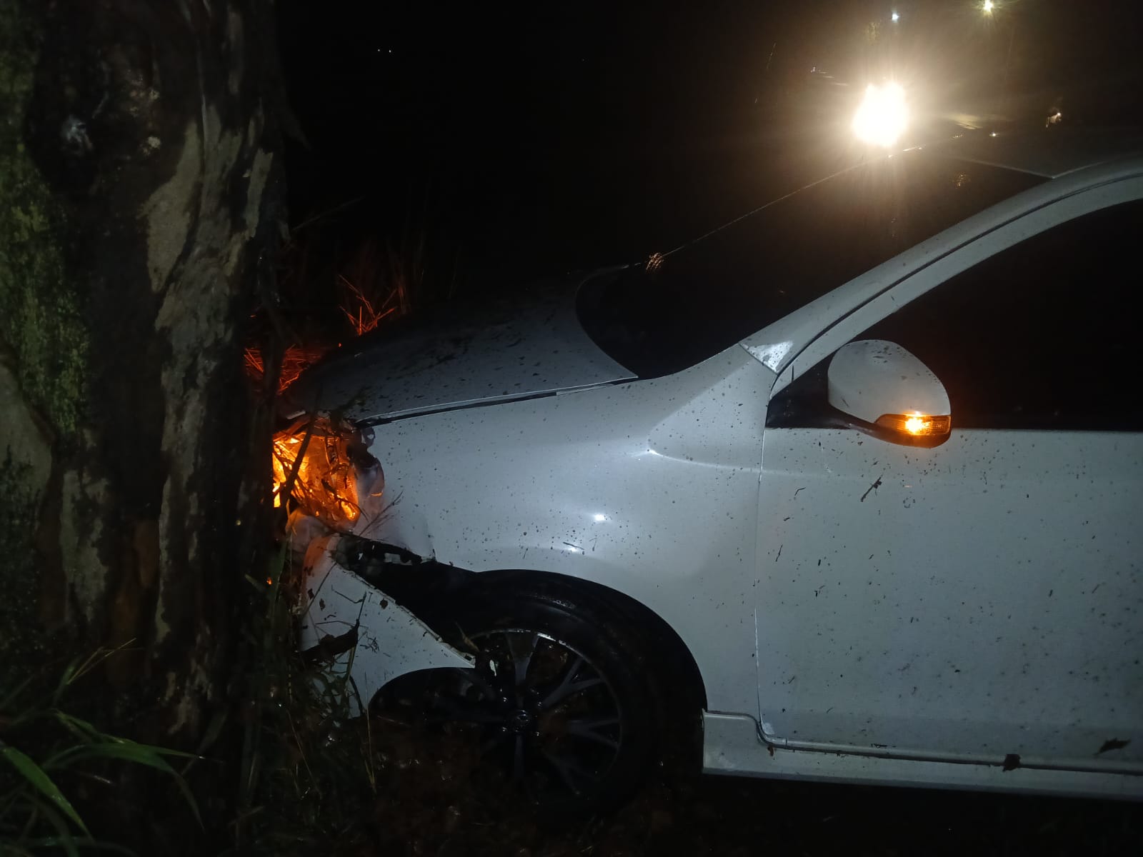 UNA CONDUCTORA PERDIÓ EL CONTROL Y CHOCÓ CONTRA UN ÁRBOL EN COLONIA CAROYA