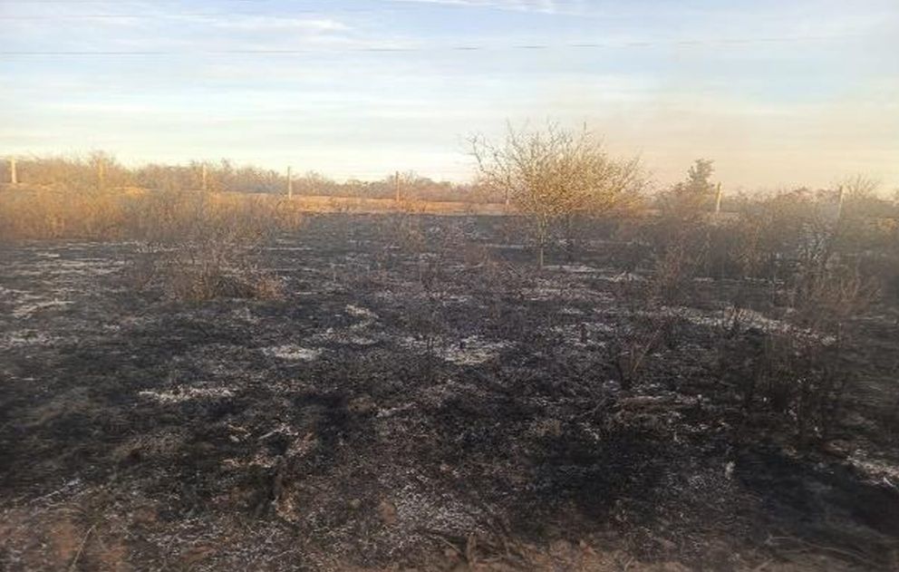 DETENIDO TRAS PROVOCAR UN INCENDIO FORESTAL EN CRUZ DEL EJE