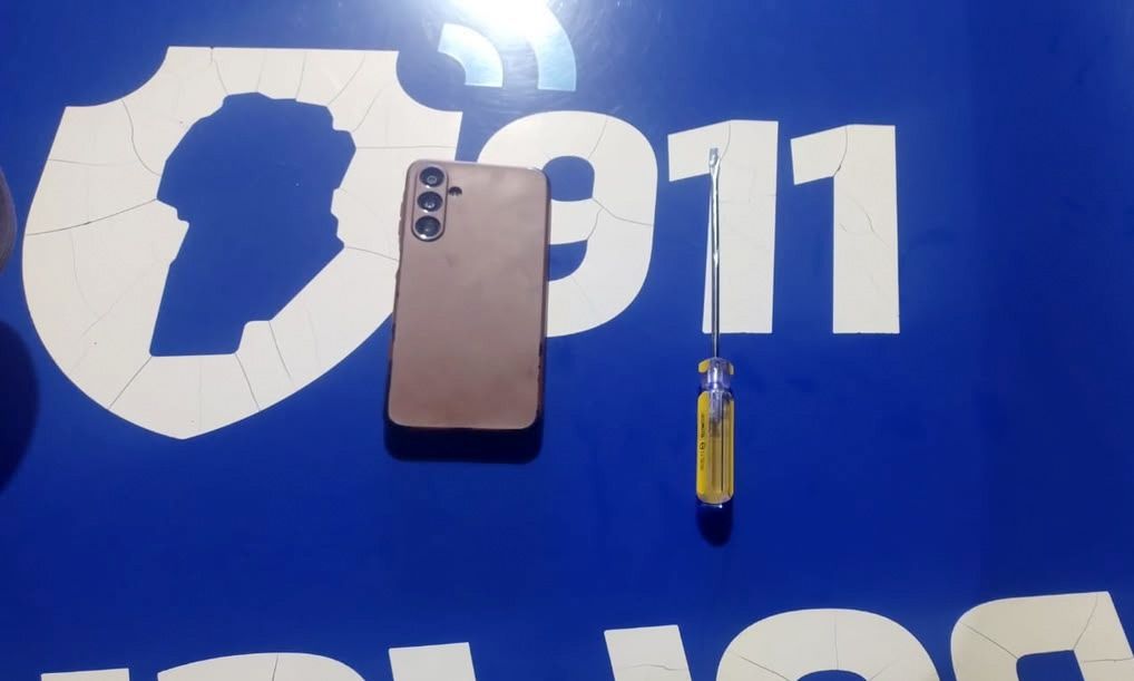 DOS JÓVENES INTENTARON ROBAR UNA CAMIONETA EN LA DORMIDA