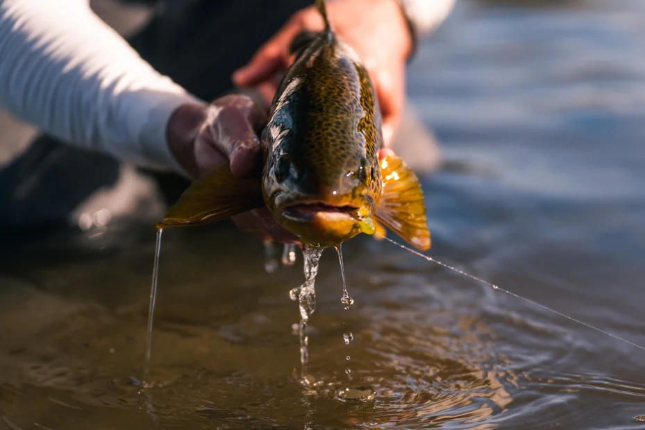 CÓRDOBA: HABILITAN LA TEMPORADA DE PESCA DEPORTIVA DE TRUCHAS Y DORADOS
