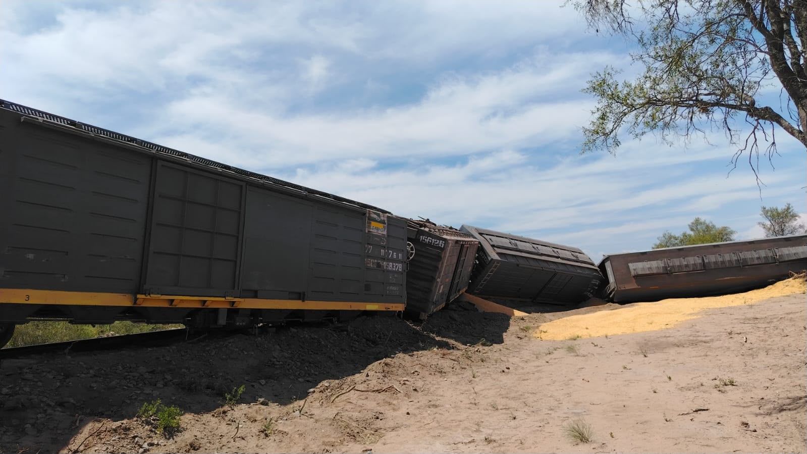DESCARRILARON CUATRO VAGONES DE UN TREN DE CARGAS EN MANSILLA